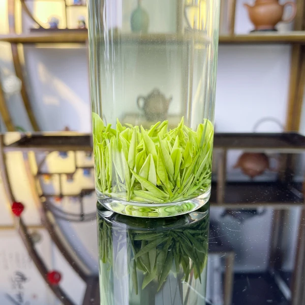 2025年小芽白茶新茶安吉原产地明前高山好茶S02 125g/250g/500g