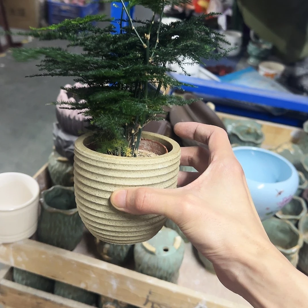 2件套福利局绿植多肉盆［凑9元包邮24小时发］