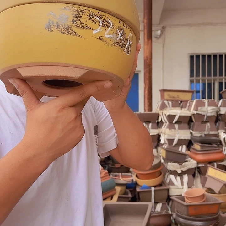 紫砂花盆紫砂花盆