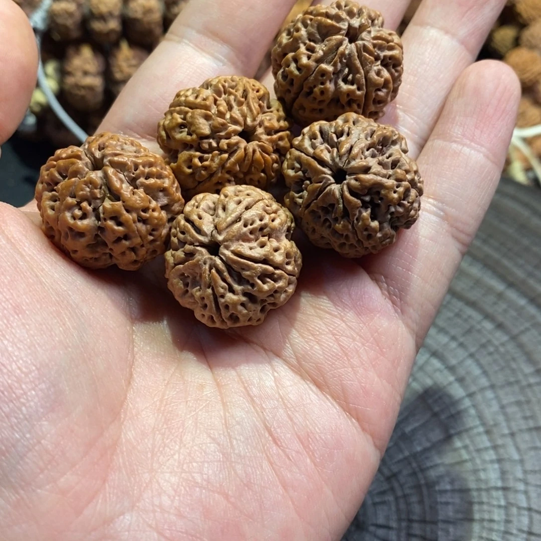 时****金刚菩提手串备籽