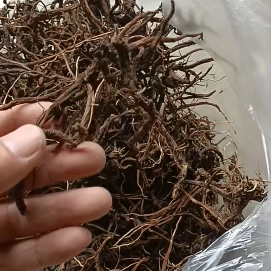 【丹参】贵州山货丹参