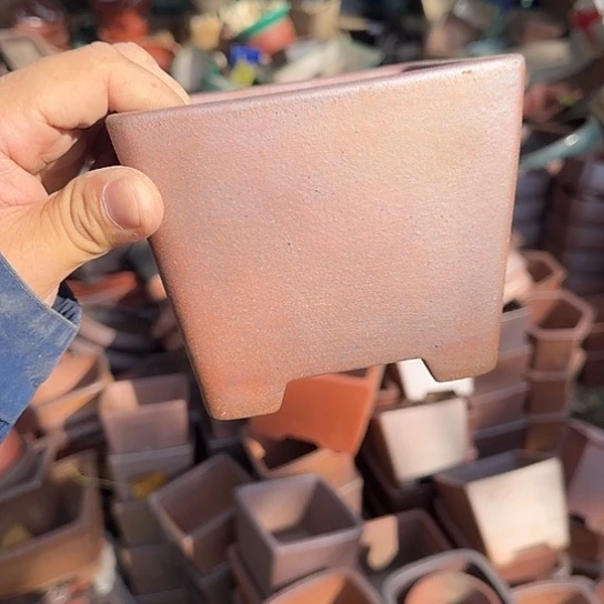 这一期太有意思咯太开心打