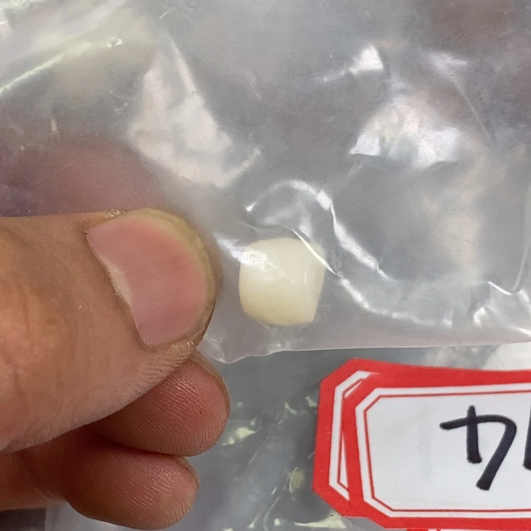 手串/手链驼骨配饰32