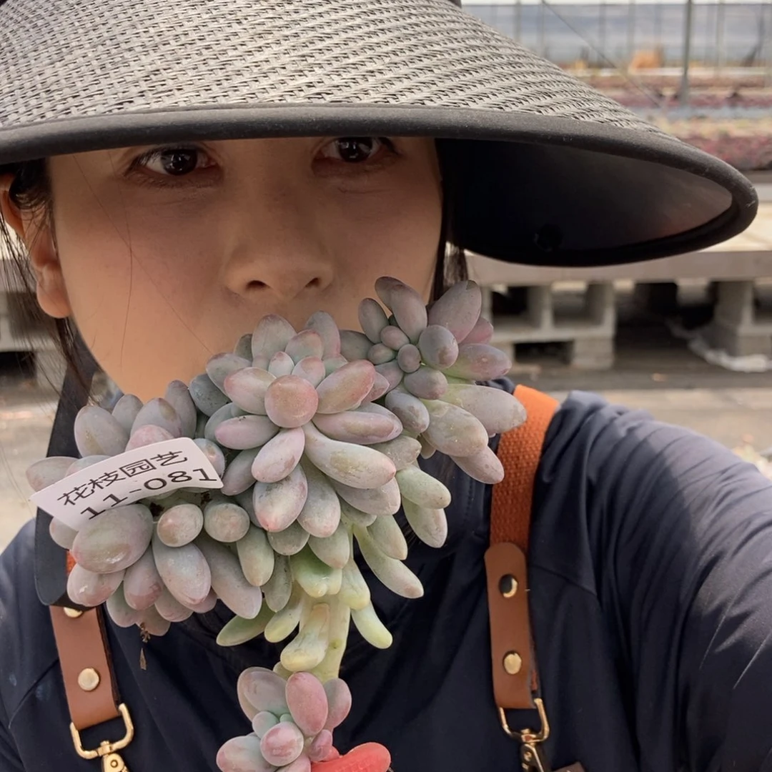 11.81汤圆缀一物一拍