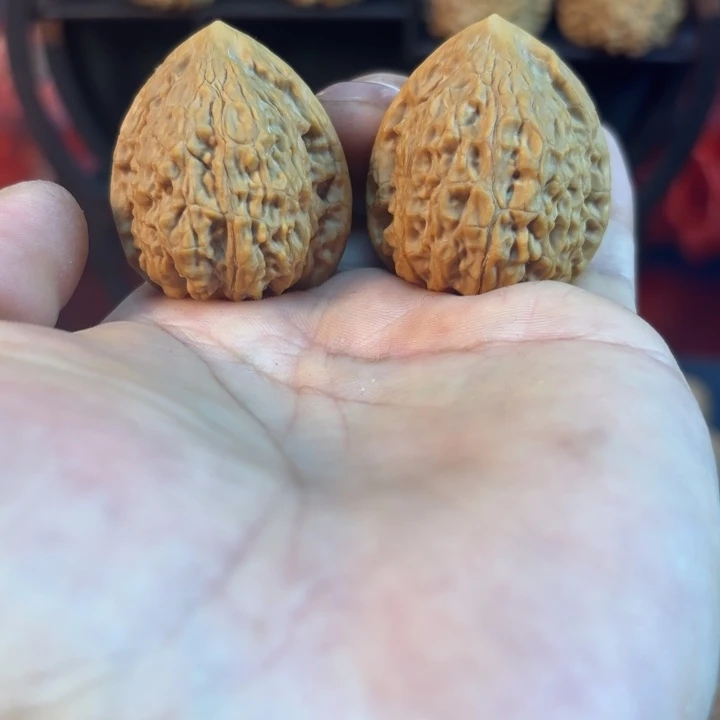 _***少蛇王一抹有修37尺