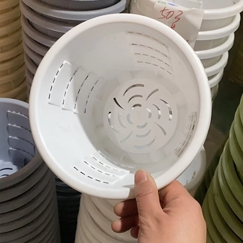 树脂测1号6个无托白