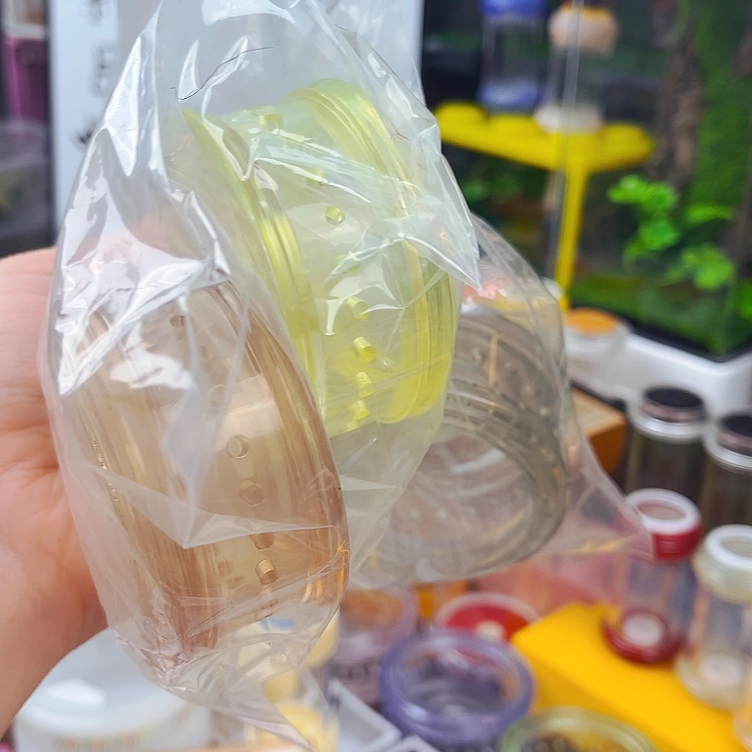 拍拍拍拍拍拍拍拍