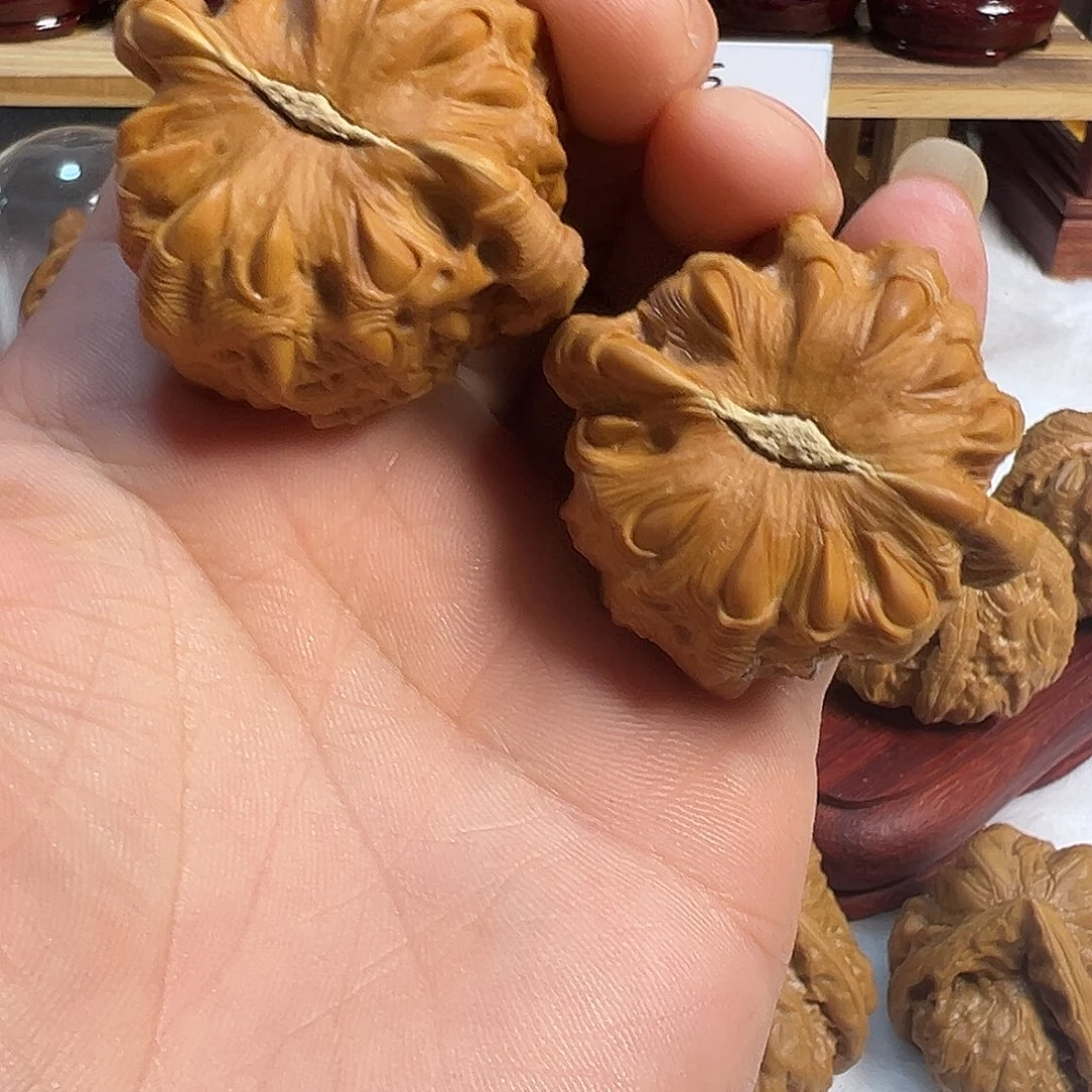 小***龖白狮子吞噬的核桃