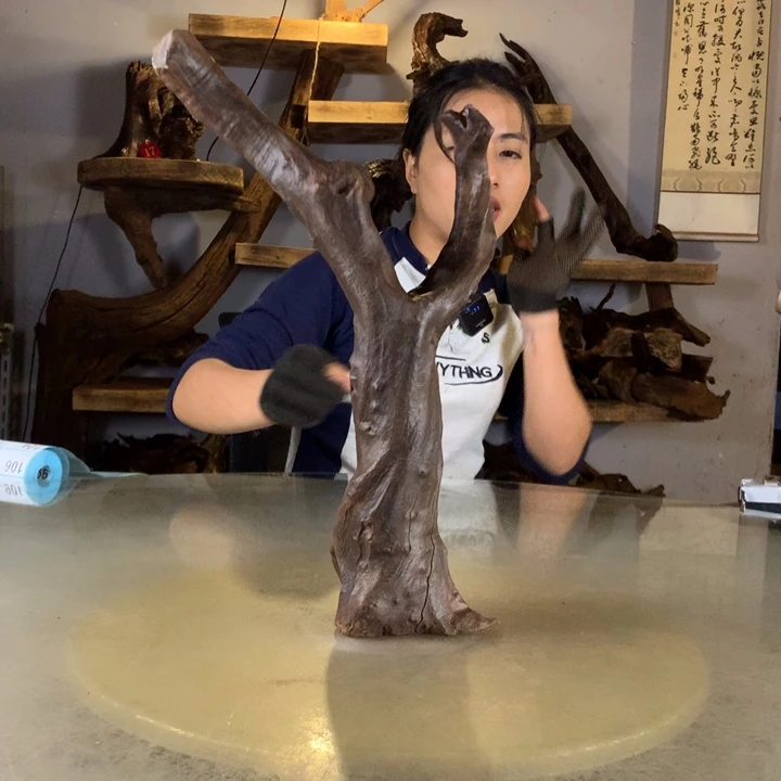 幸***星天然云南紫柚木会黄水