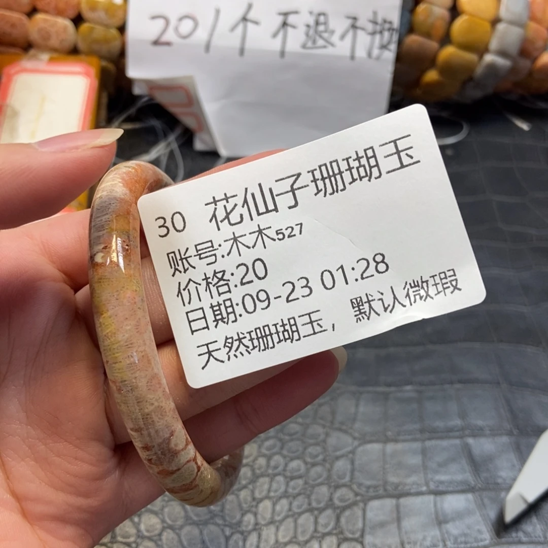 木***₇未镶嵌硅化珊瑚（珊瑚玉）珠宝半成品30