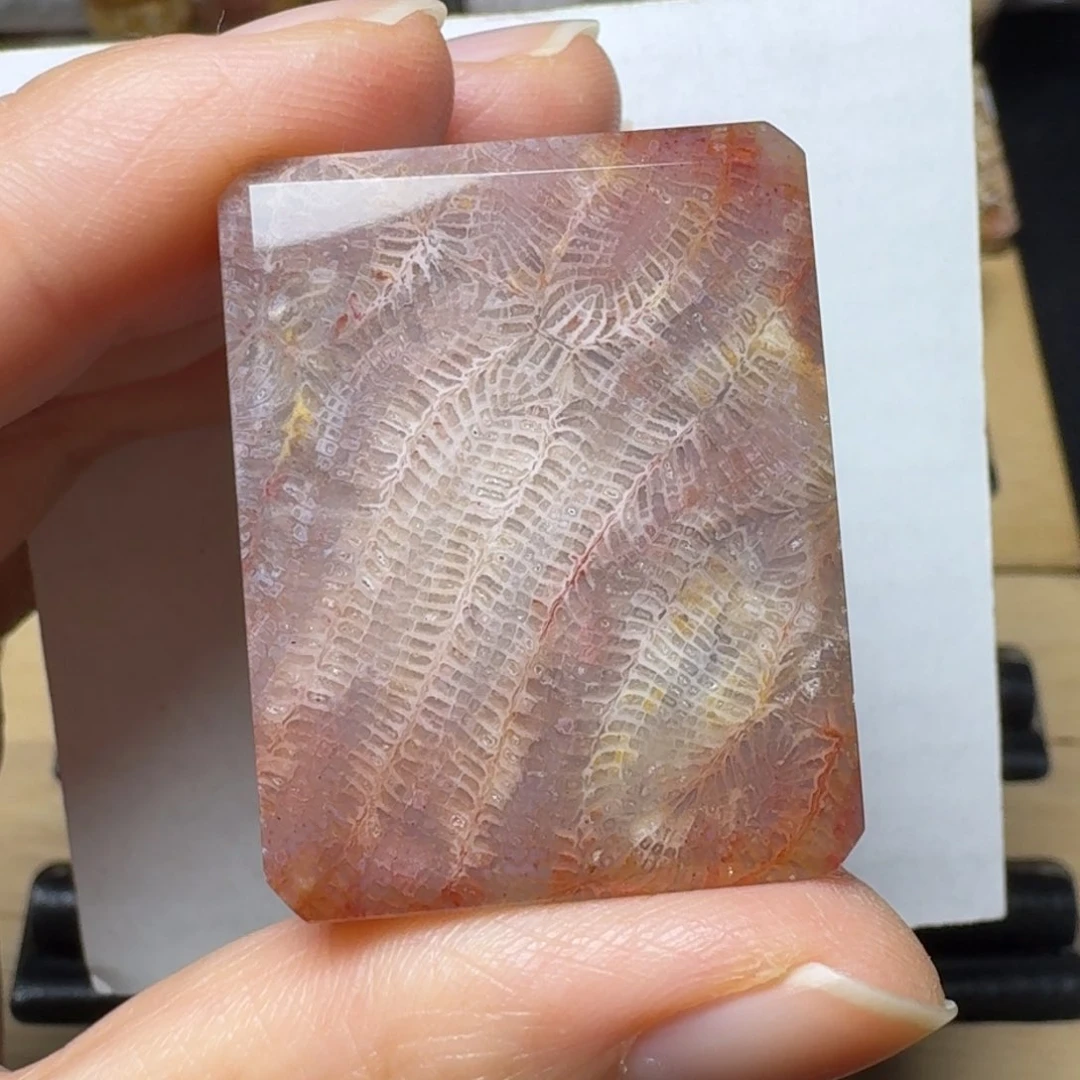 硅化玉红腹锦鸡尾羽未镶嵌