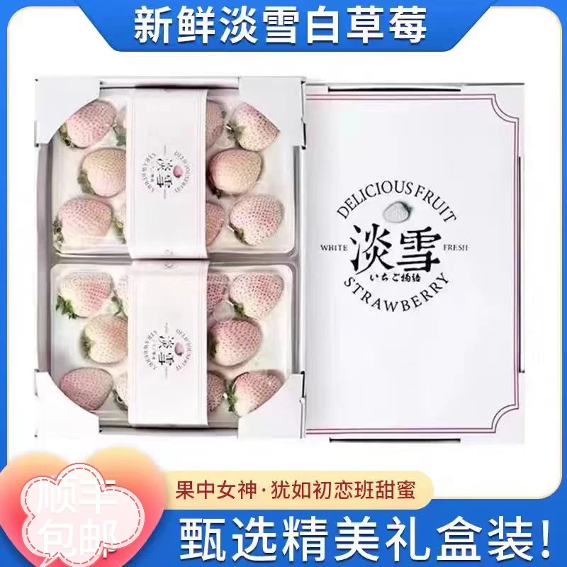 礼盒装【淡雪白草苺】头茬现摘现发孕妇水果精美礼盒
