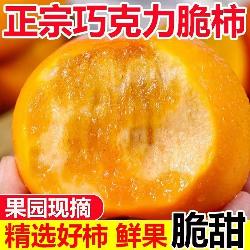 AZ8糖心脆柿子新鲜现摘巧克力脆甜柿子应季水果脆甜多汁不涩无籽