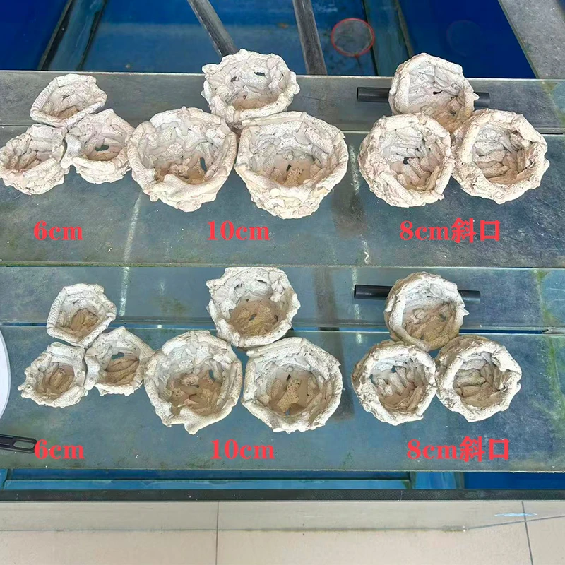 地毯手工海葵窝珊瑚地毯奶嘴防跑海缸造景订做奶嘴窝红奶嘴海葵