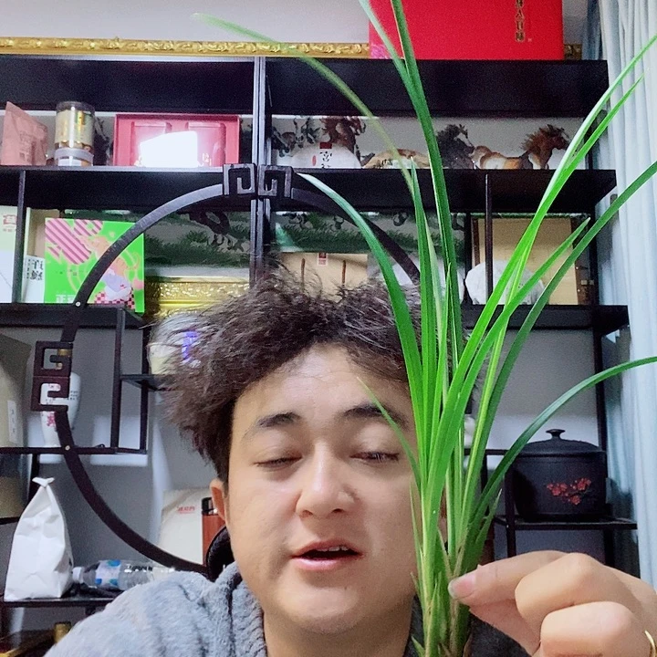 完全开放大雪素的