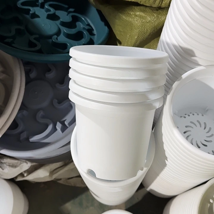 四季2号纯白无托10个