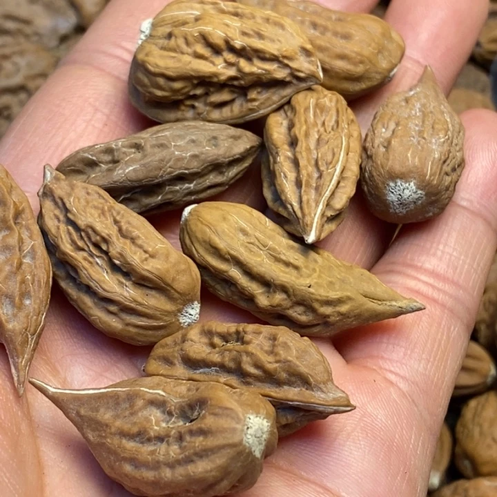 吊坠桃核娜姐真的21