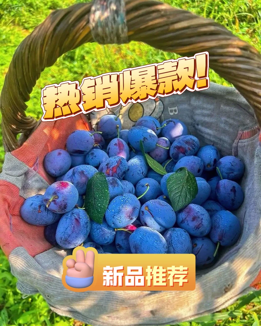 新鲜蓝莓西梅李子当季水果酸甜可口全国包邮