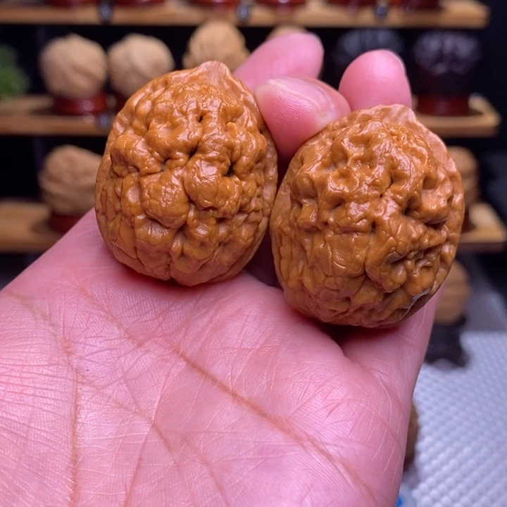 木质类云铁凤眼50号