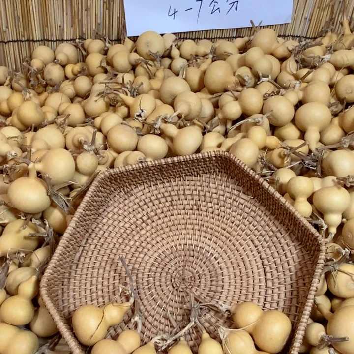 娟****大叶紫檀（黑酸枝木类）