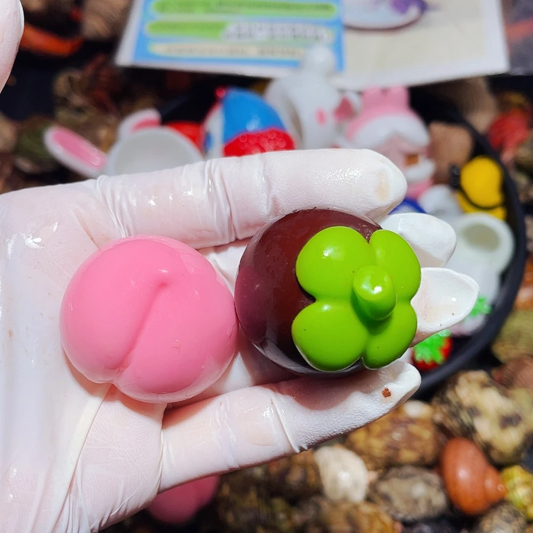 丹***⁷陌派有钳寄居蟹141