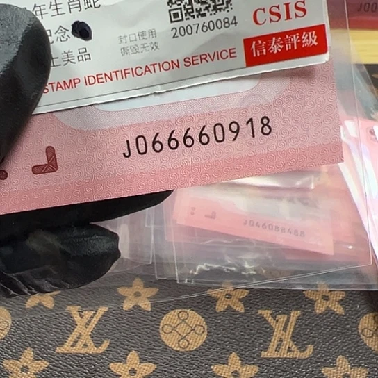 J066660918单张简易封装蛇