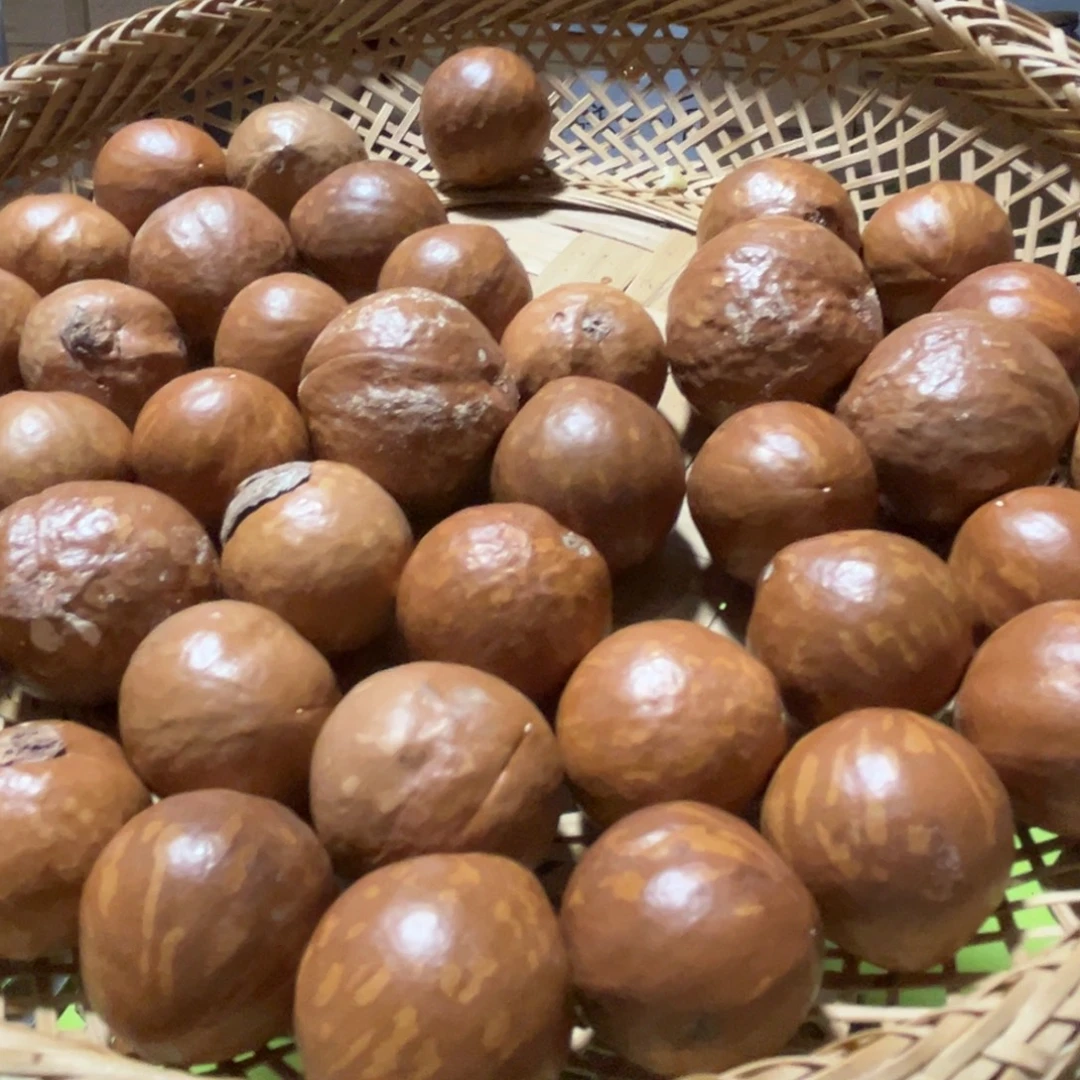 广眼3斤不要开口器，