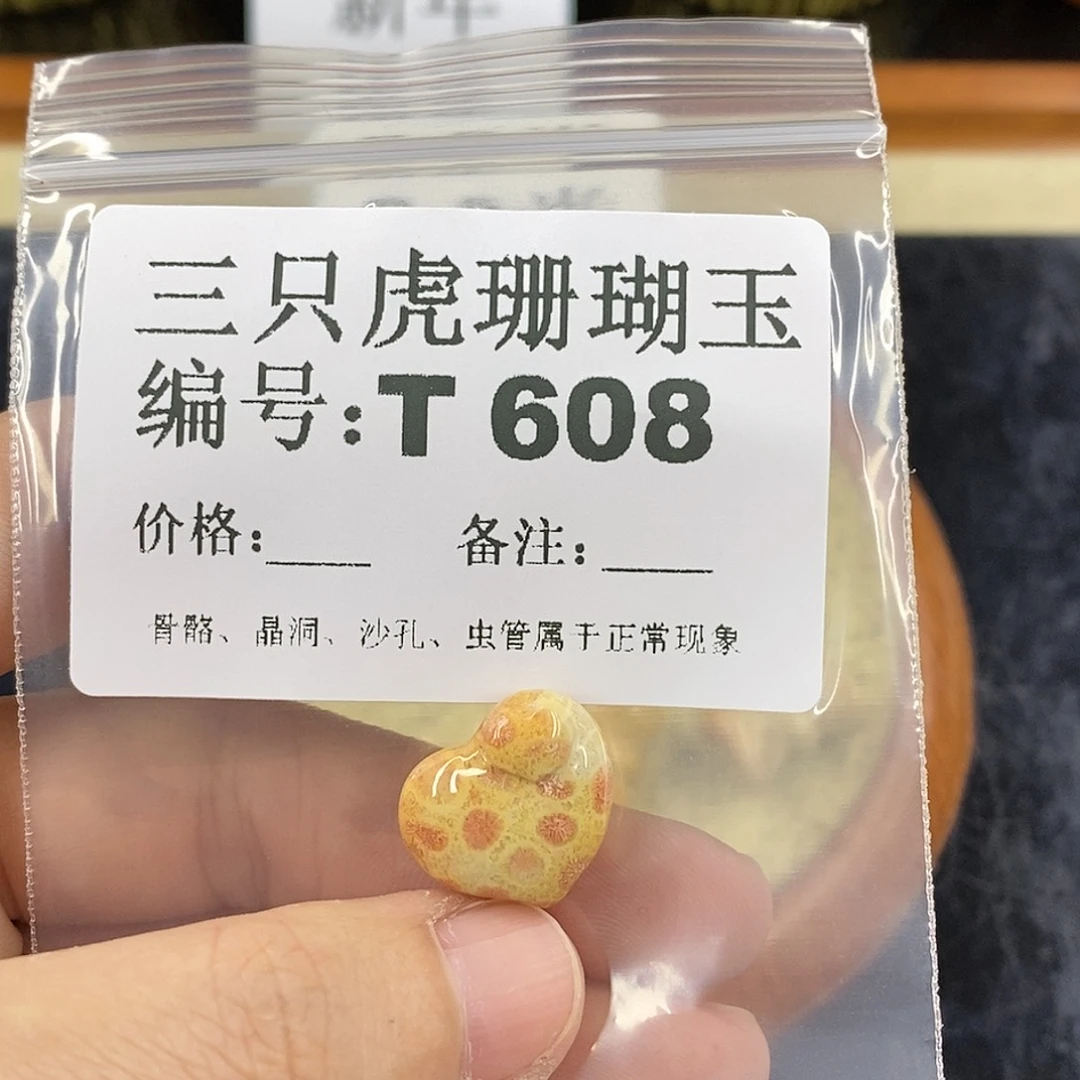 硅化珊瑚（珊瑚玉）1未镶嵌飞**y