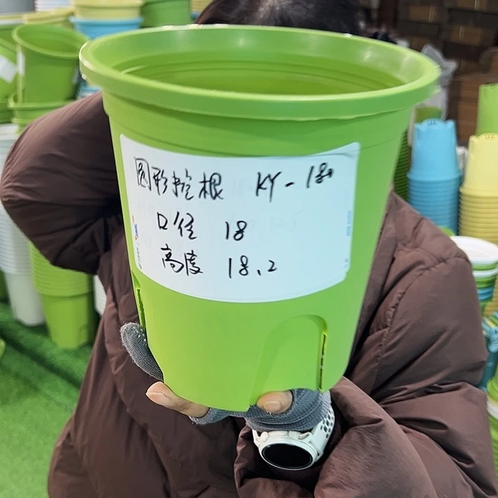 正品圆控口18高18果绿无托8只