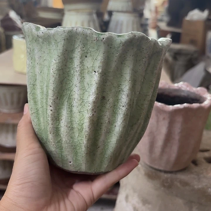 许纯的花房 花瓣绿色