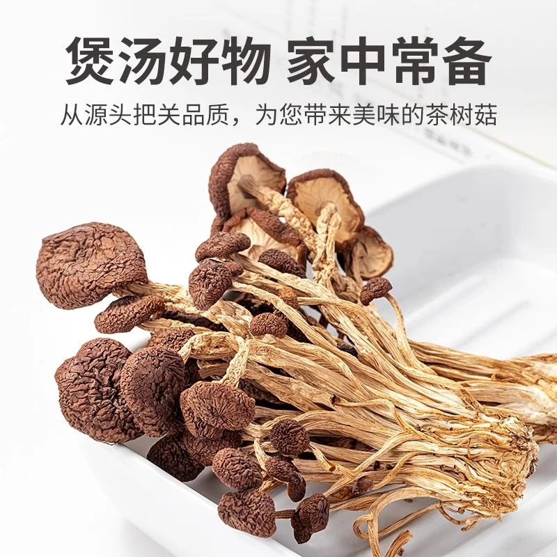 谢近山高山茶树菇不熏硫无添加营养健康头茬新货鲜嫩短柄未开伞