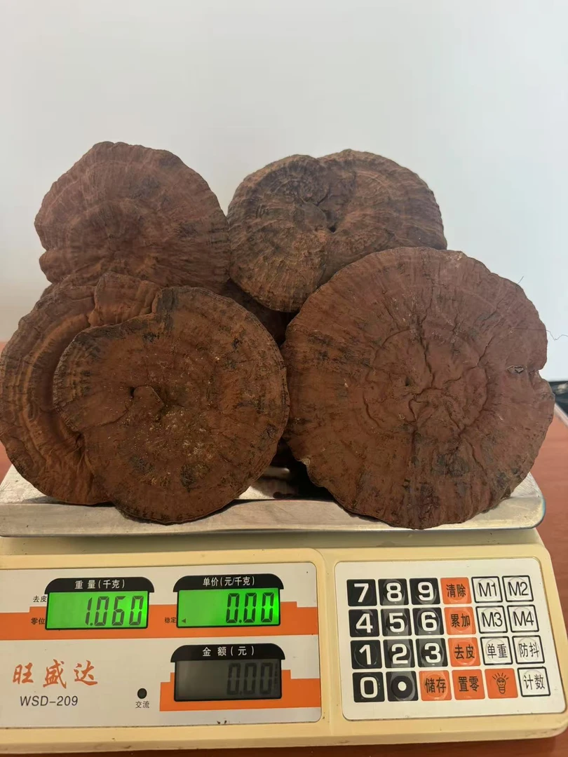 中号-广西高海拔枫树椴木防野生种植整朵紫灵芝干货可泡水泡9泡茶