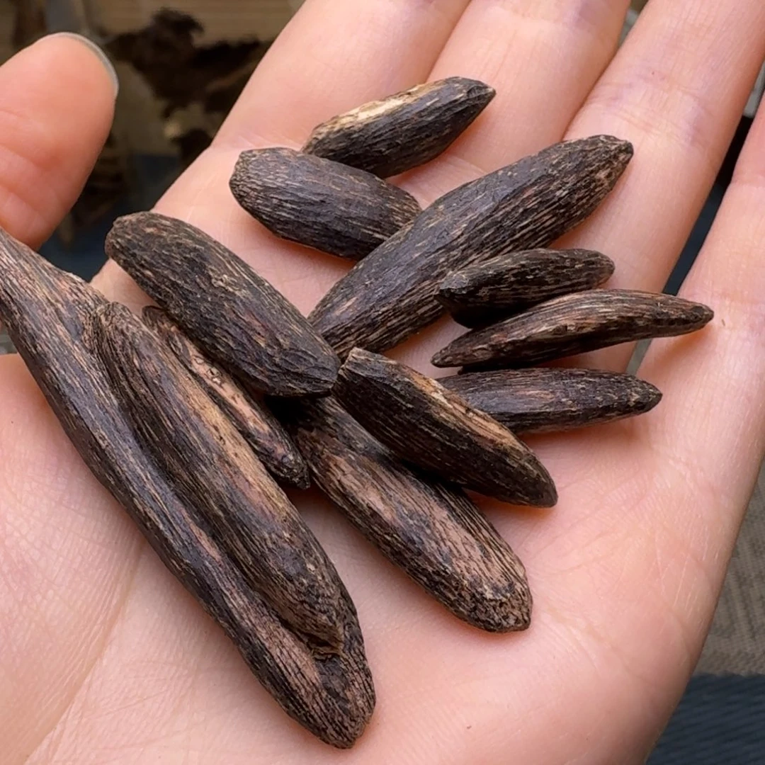 香榧木海南大山瓜子树心油5.2克