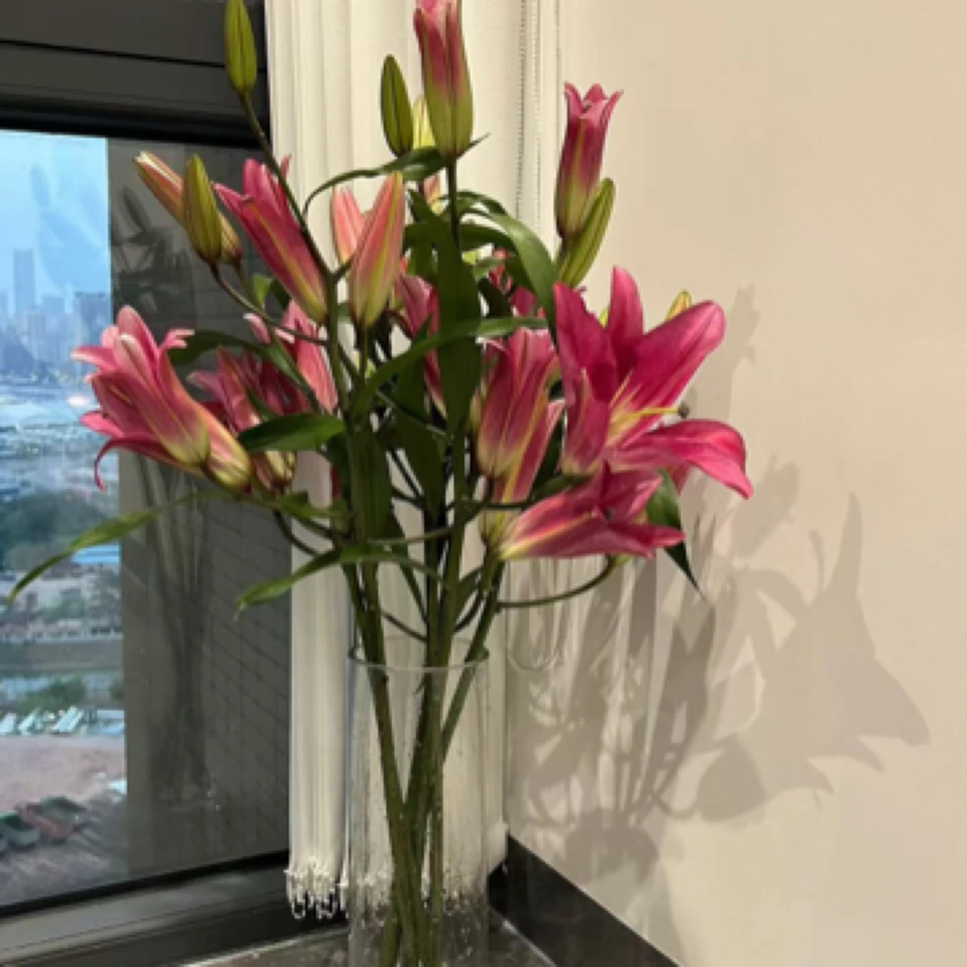 5支2头香水百合不带瓶家居花