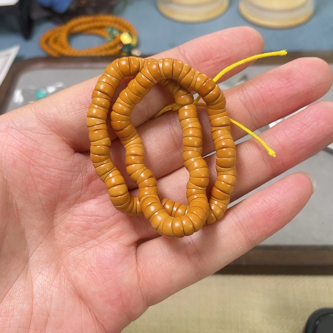 6.3清水橄榄核尖大肠sss