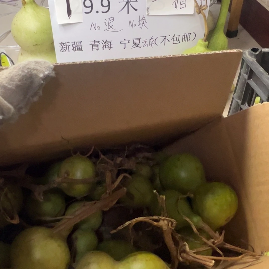 葫芦中国大陆唐**清