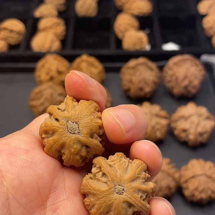 小***鱼文玩核桃吊坠突突突突突突