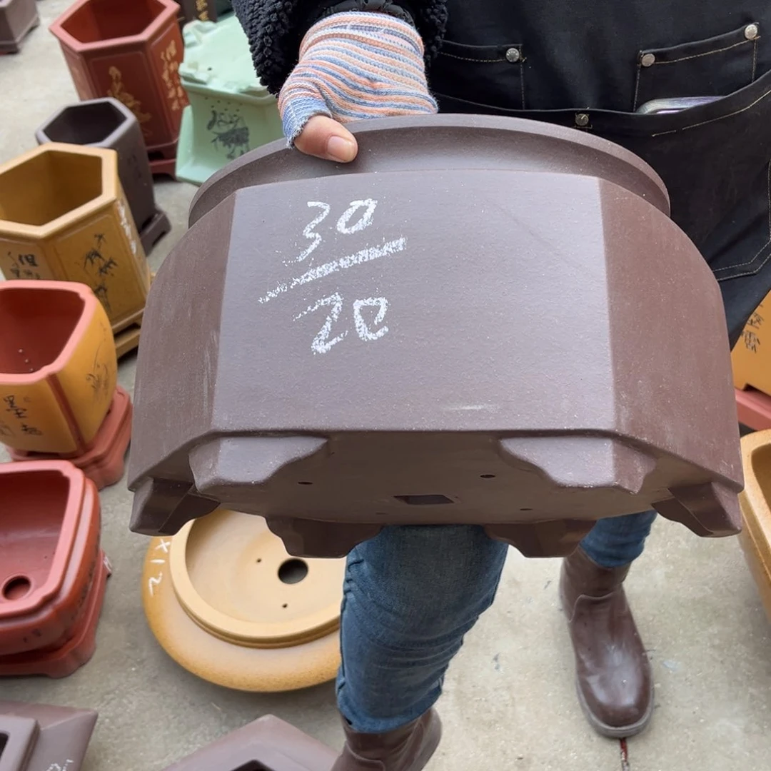 紫砂花盆盆景艺术