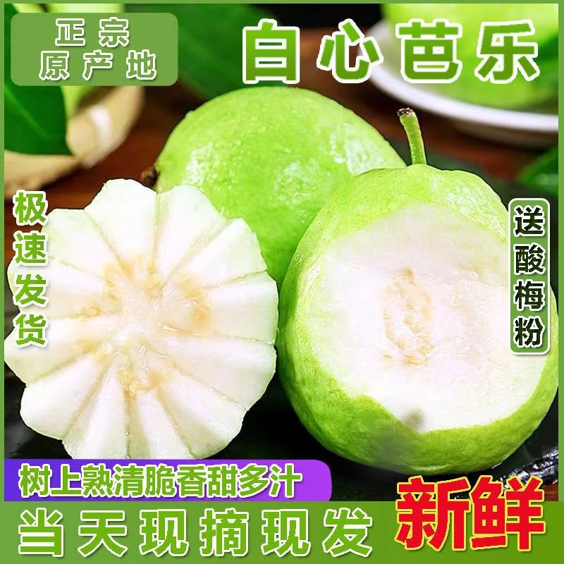 福建软糯白心芭乐奶油两吃送酸梅粉水果脆硬番石榴自然甜新鲜清甜