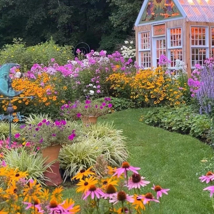 花海组合种子耐寒耐热花种多年生四季开花不断花籽庭院易种活室外