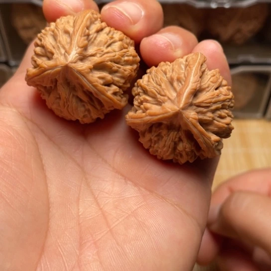 【闪购商品】把件文玩核桃玉龙粗筋………