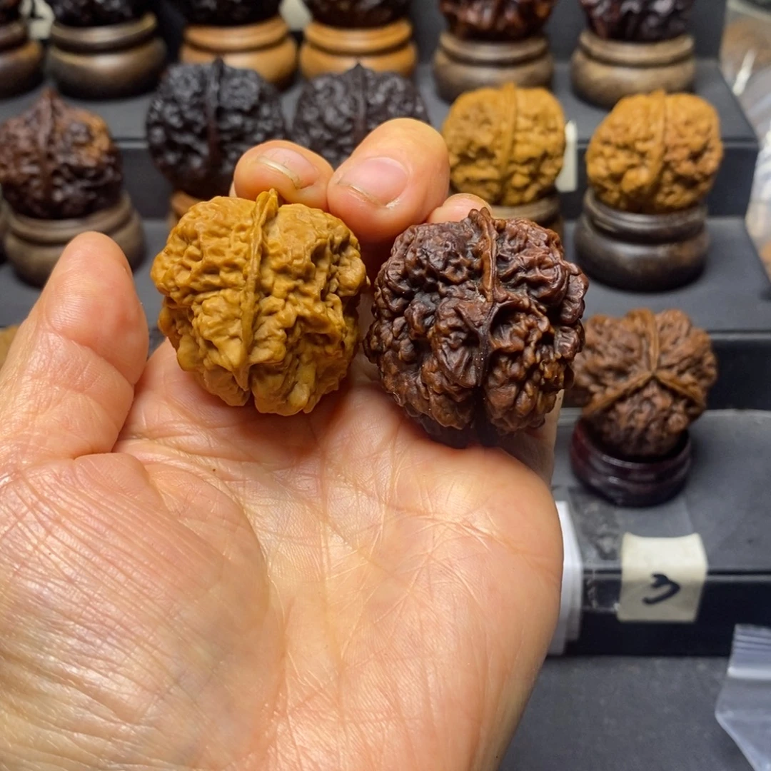 凯***爷舍利子44尺寸云南铁核