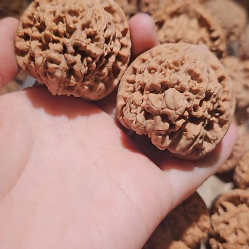 吊坠文玩核桃44管帽