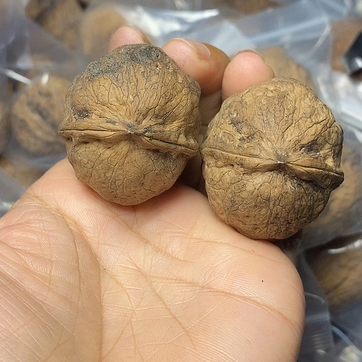 文玩核桃把件云南铁核桃45