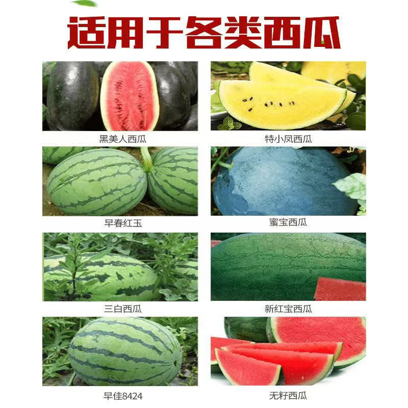 有籽无籽瓜 烂瓜头 防控套餐