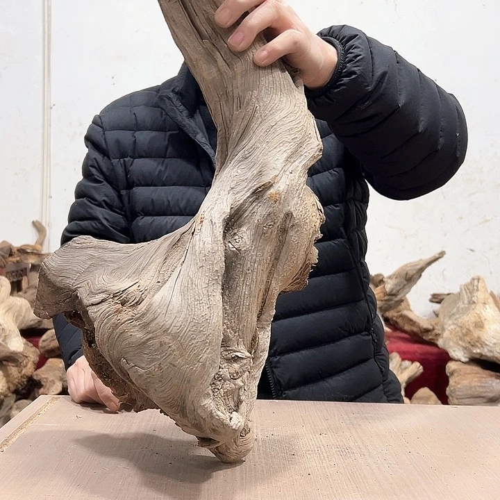 柏木张**雕我们都是好孩子呀我也