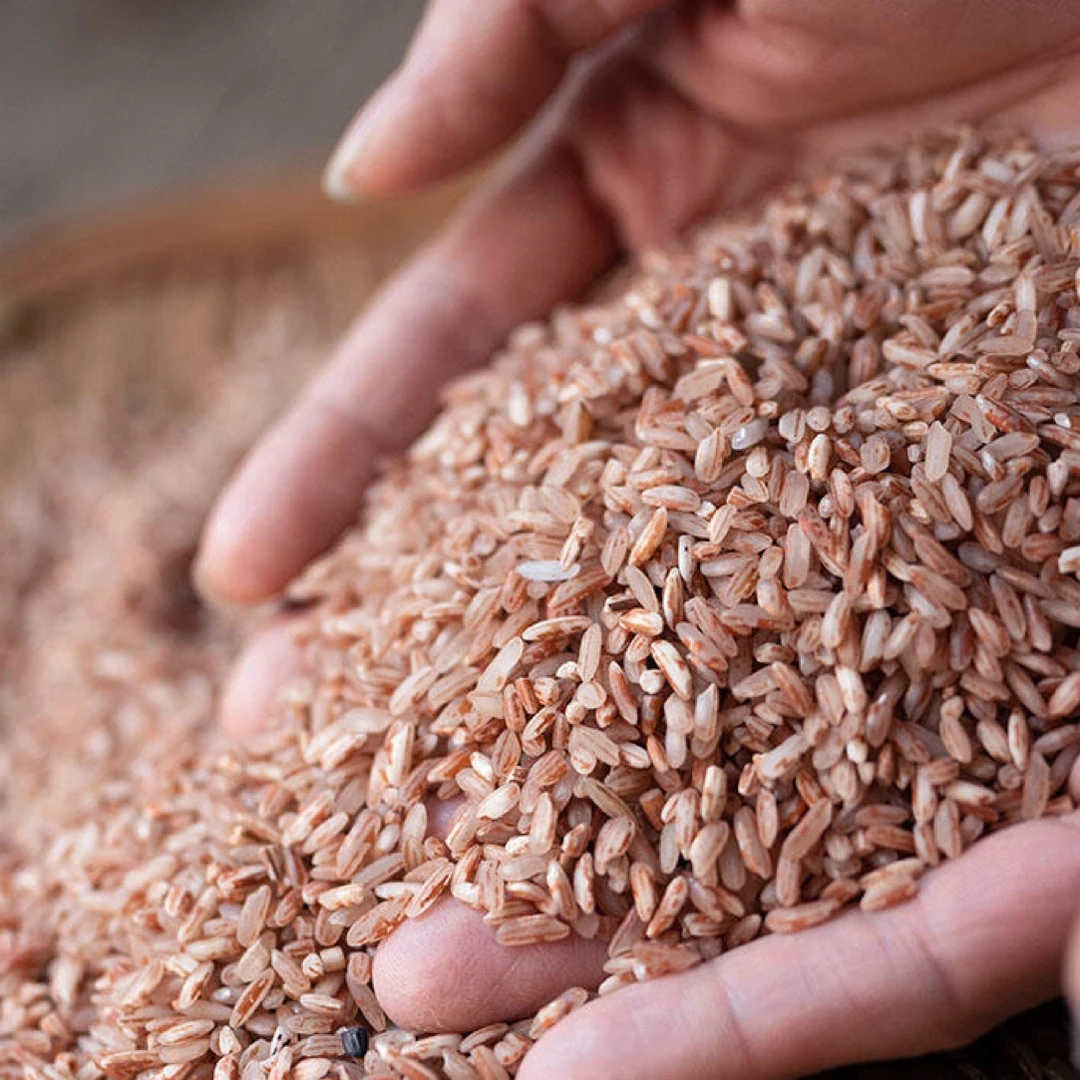 【云舍山甄】现收土特产 红米 1500/2500克 初级农产品