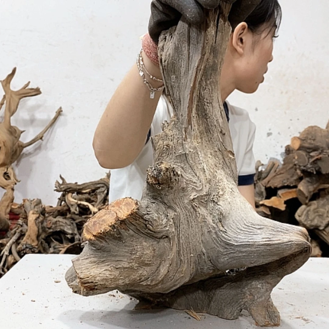 【闪购商品】柏木净***作我们都是好孩子啊