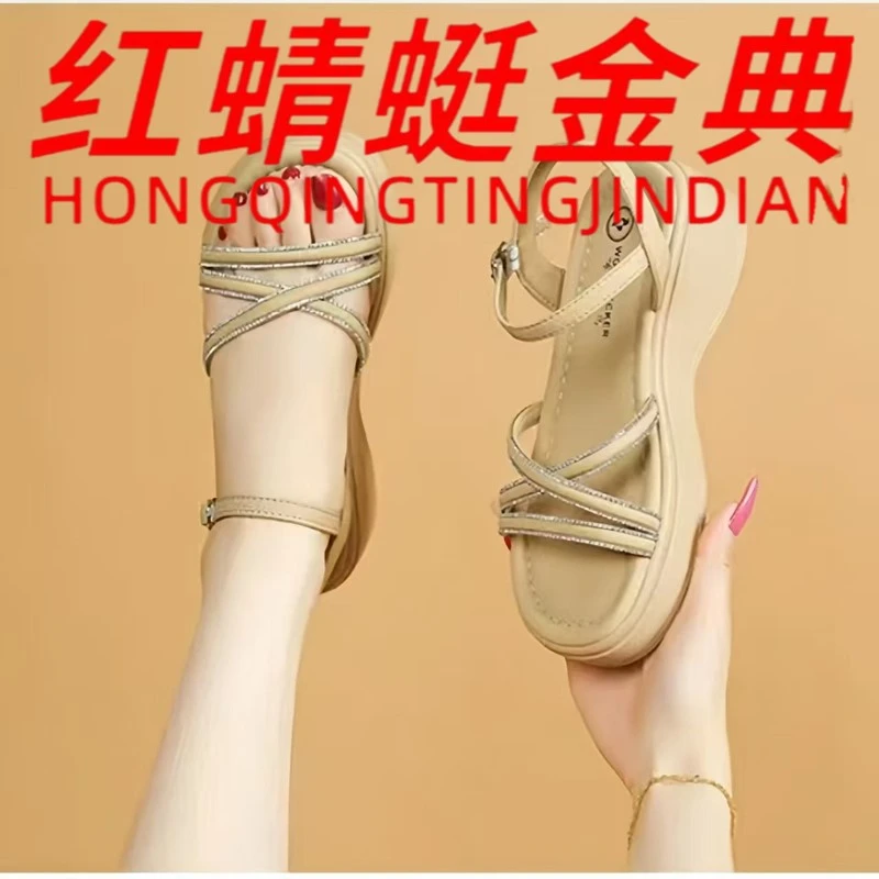 红蜻蜓金典真皮休闲时装凉鞋女士粗跟低帮一字式扣带中跟露趾凉鞋