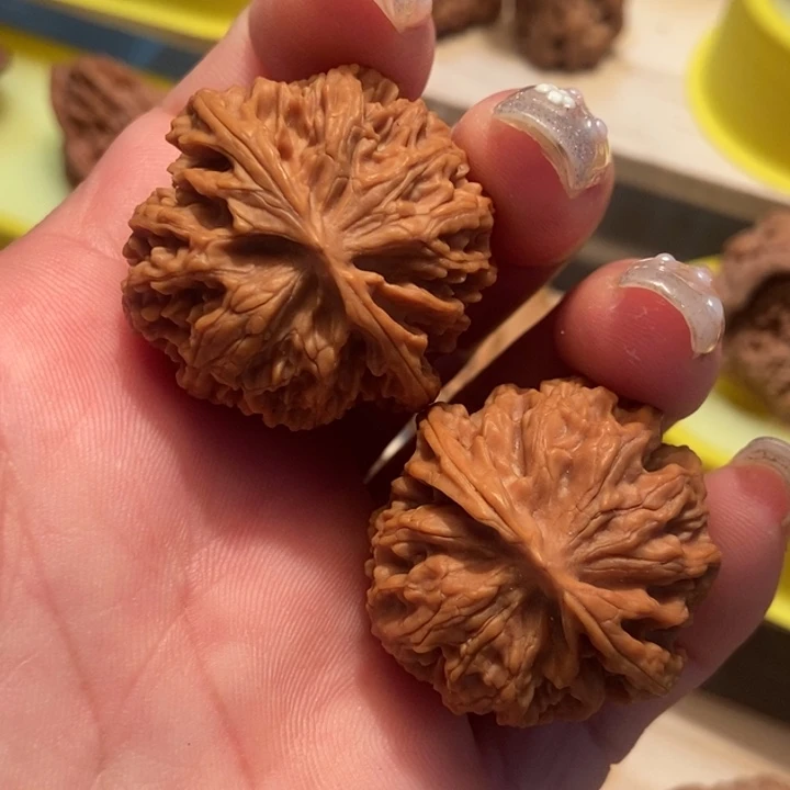 官方网站发布消息显示